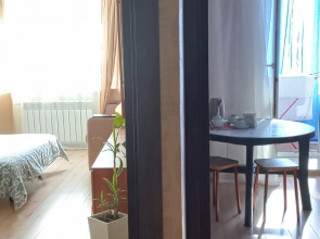 Апартаменты Уютное гнездышко рядом с парком