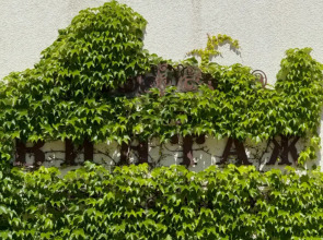 Отель Винтаж