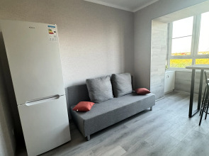 Квартира Новая комфортная евродвушка