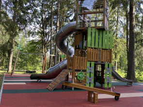 Отель Ruza Forest