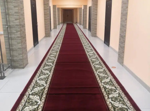 Отель Берёзка