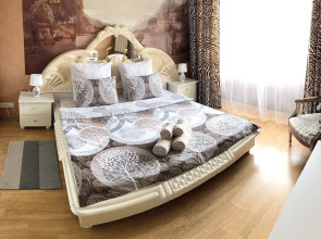 Апартаменты Family Flats Vlasyevskiy