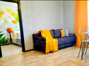 Квартира студия Pogostim