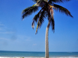 Санаторий Ocean of Life Ayurvedic