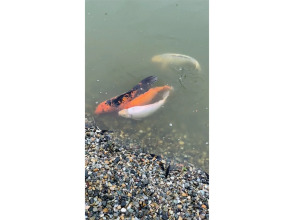 Отель Старая Мельница