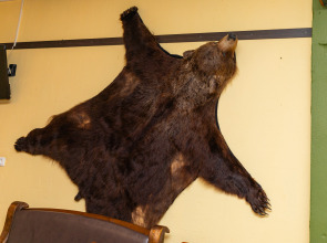 Гостиница Дом Ученых Nethotel р.п. Ржавки