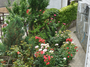 Гостевой дом Мармари