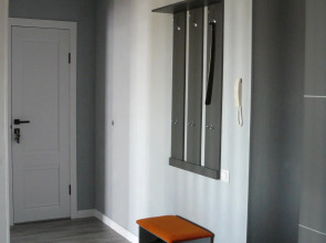 Апартаменты Рыжий Кот Дружный