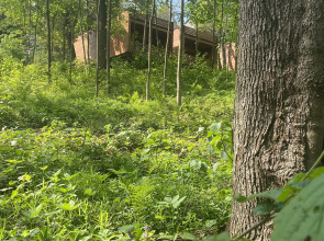 Отель Ruza Forest