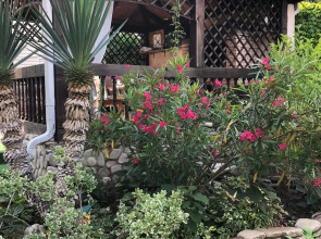 Гостевой дом Бьюти спа на Ручейной