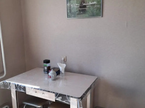 Квартира Однокомнатная квартира в Белокурихе