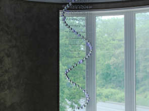 Моцарт Холл