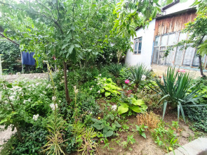 Жилое помещение  Chekhov19