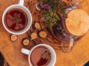 Кемпинг ForrestHome