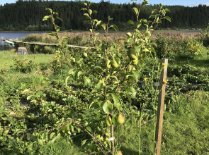 Гостевой дом Рантатало