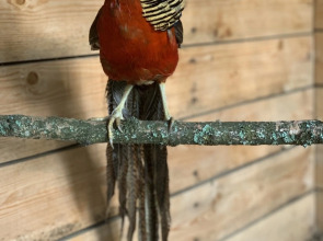 База отдыха ZAгород