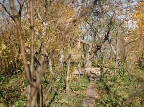 Глэмпинг Амбаркаса