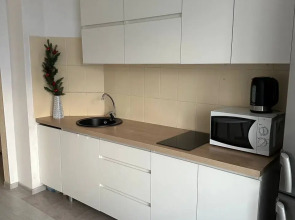 Однокомнатная квартира Колпино