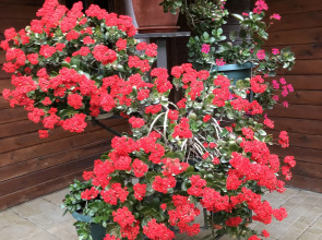 Гостевой дом Морская сказка