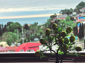 Гостевой Дом Family Resort Hotel Miloo