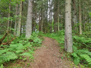 Апартаменты Валдай Пространство мечты 1