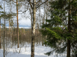 Шале Лесной восход