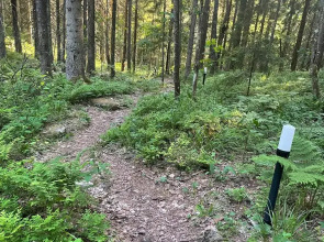 Бунгало Дача Долос