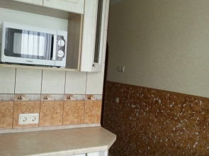 Апартаменты двухкомнатные в центре у реки