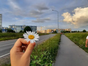 Апартаменты  ЖК Ясно Янино