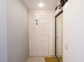 Улучшенные апартаменты Natali на метро Южная