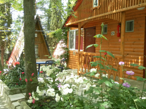 База Отдыха Солнечное