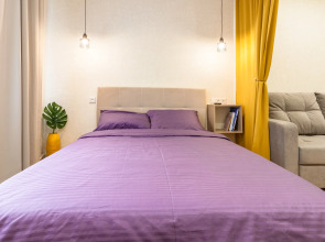 2-комнатные апартаменты около Парка Победы