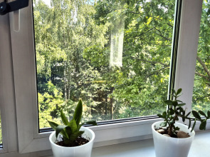 Квартира в центре Пушкино на Тургенева