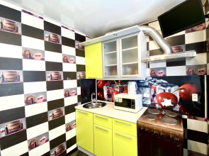 2-к квартира с евро ремонтом в самом центре города рядом СК Олимп