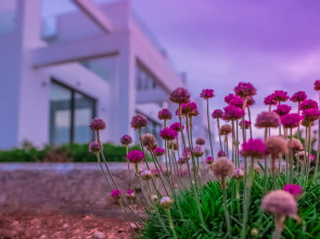 Отель Sun Valley Resort&Residency