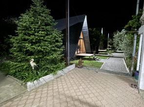 Глэмпинг Колхида