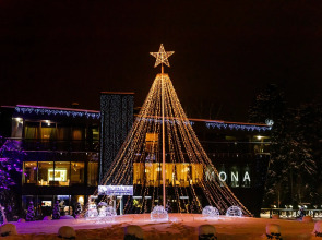 Бутик-отель MONA