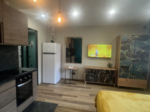 Квартира Студия в Зеленогорске Курортный Район