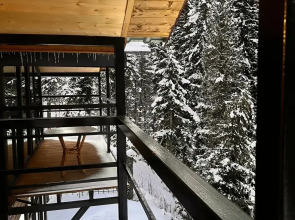 Шале Forest glamp