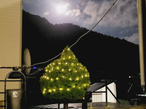 Гостевой дом Ореховый 13 Пляхо