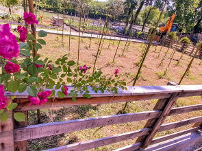 Апарт-отель Mtrediani Wine Lodge