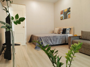 Апартаменты на Попова