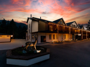 Отель Эко-отель "Чемал"