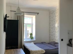 Апартаменты 1 на Рубинштейна 36