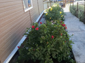 Гостевой дом Рассвет