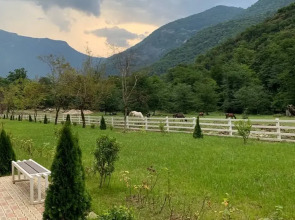 Отель Chalet Bridge Eko