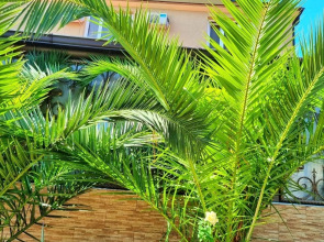 Курортный Гостевой Дом Лооленд