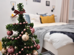 Апартаменты Studio Ante