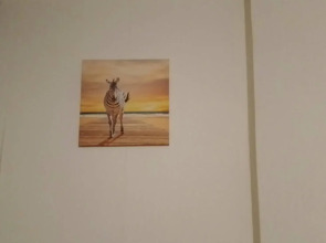 Апартаменты Солнечная студия на 40-летия Победы