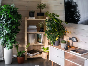 Частный дом Нарская Заимка